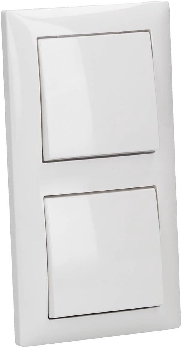Complete Set: 2x Tweevoudige Lichtschakelaar met Tweevoudig Frame in Alpinewit