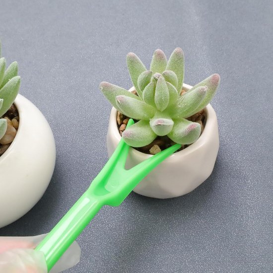6 stuks Succulent Verplant Gereedschap Set - mini handgereedschap - voor het zaaien en uitgraven van zaailingen - tuingereedschapsets tuinieren - Mini-tuin verplantingsgereedschap - Geschikt voor het verplanten van vetplant - en moszaailingen — afbeelding 5