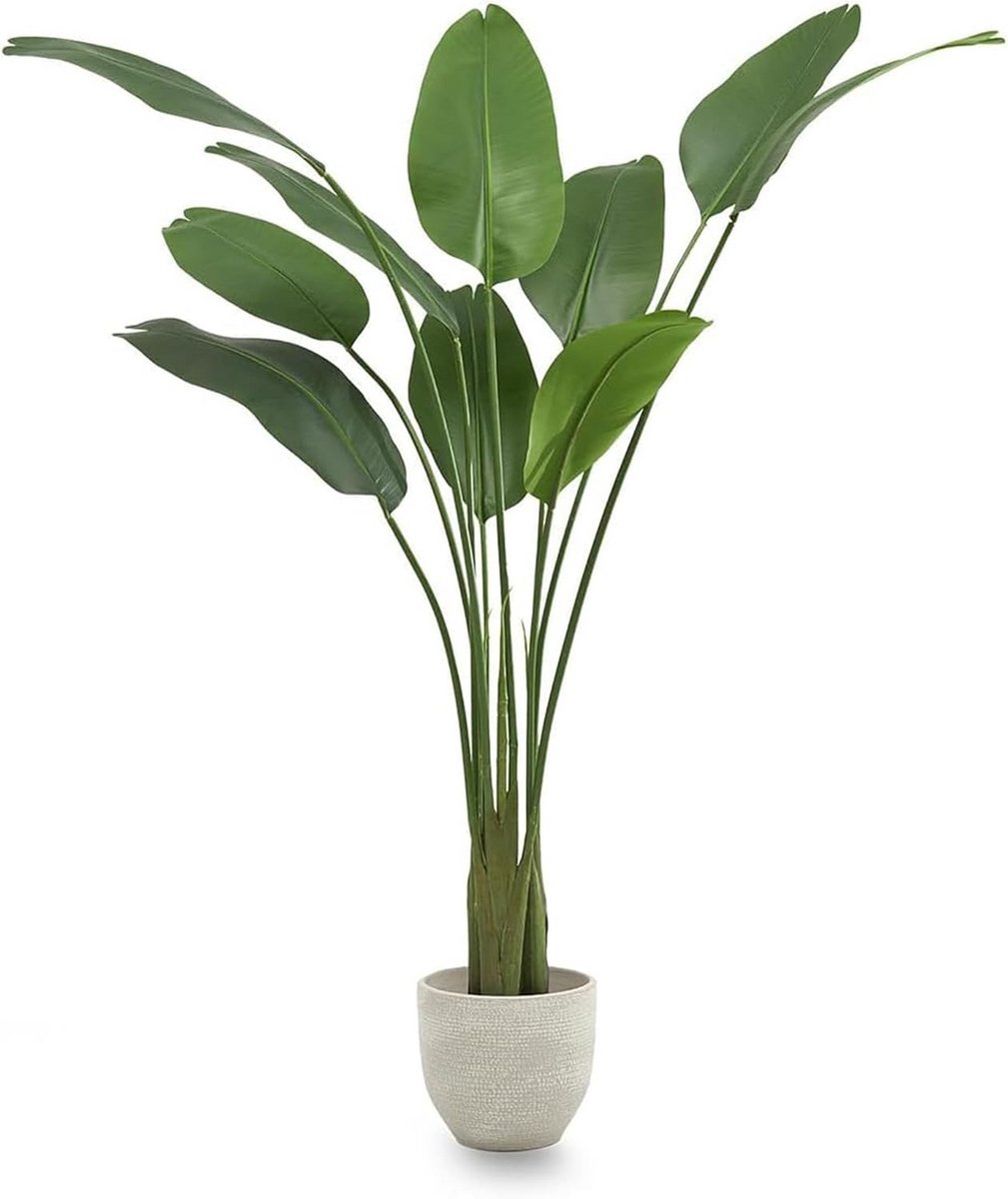 Decoratieve Kunstplanten - Tropische Paradijsvogel | Kunstplant 180 x 115 cm
