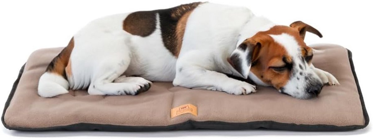 Middelgrote Hondenkennel met Dubbelzijdig Kussen - Krasbestendig en Waterdicht - Warm Microfleece Hondenmatras - Machinewasbaar 65 x 48 x 3,5 cm