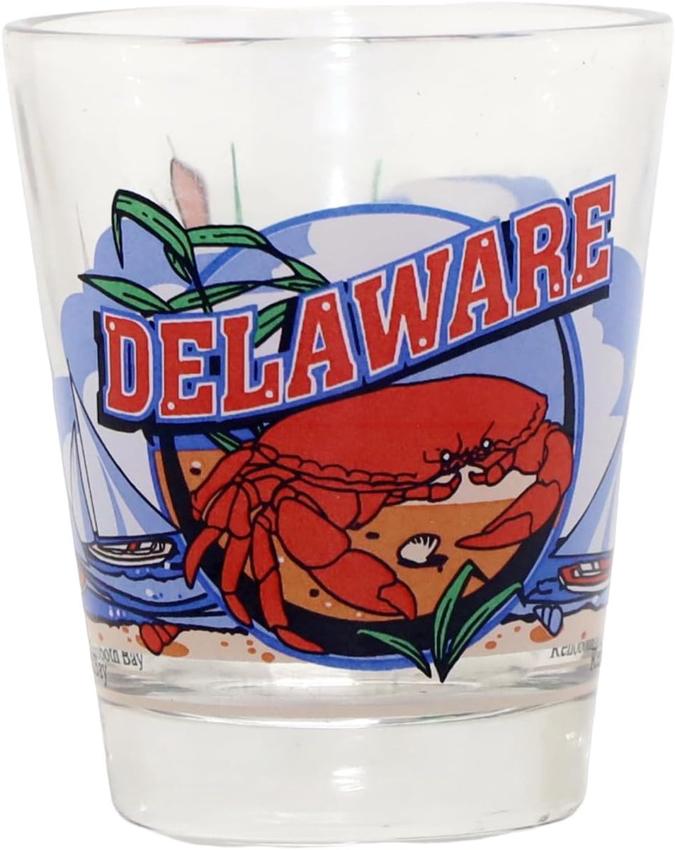 Souvenir Shot Glass Delaware - 3 Views
