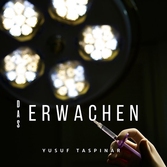 Das Erwachen - cover