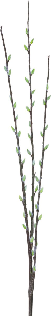 Easyplants | Kunstbloem Salix willow 70 cm | Zijde | Nepbloemen | wit, bruin | Onderhoudsvrij | Kant-en-klaar