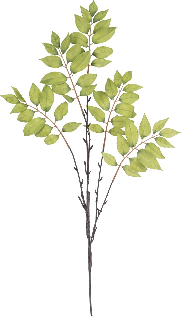 Easyplants | Kunsttak Varen vertakt 83 cm groen | Zijde | Nepbloemen | groen | Onderhoudsvrij | Kant-en-klaar