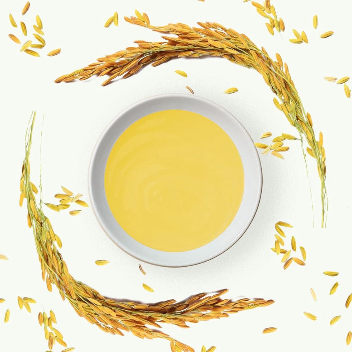 Rijstvliesolie / Rijstolie / Rice Bran Olie - Koudgeperst - 5 L