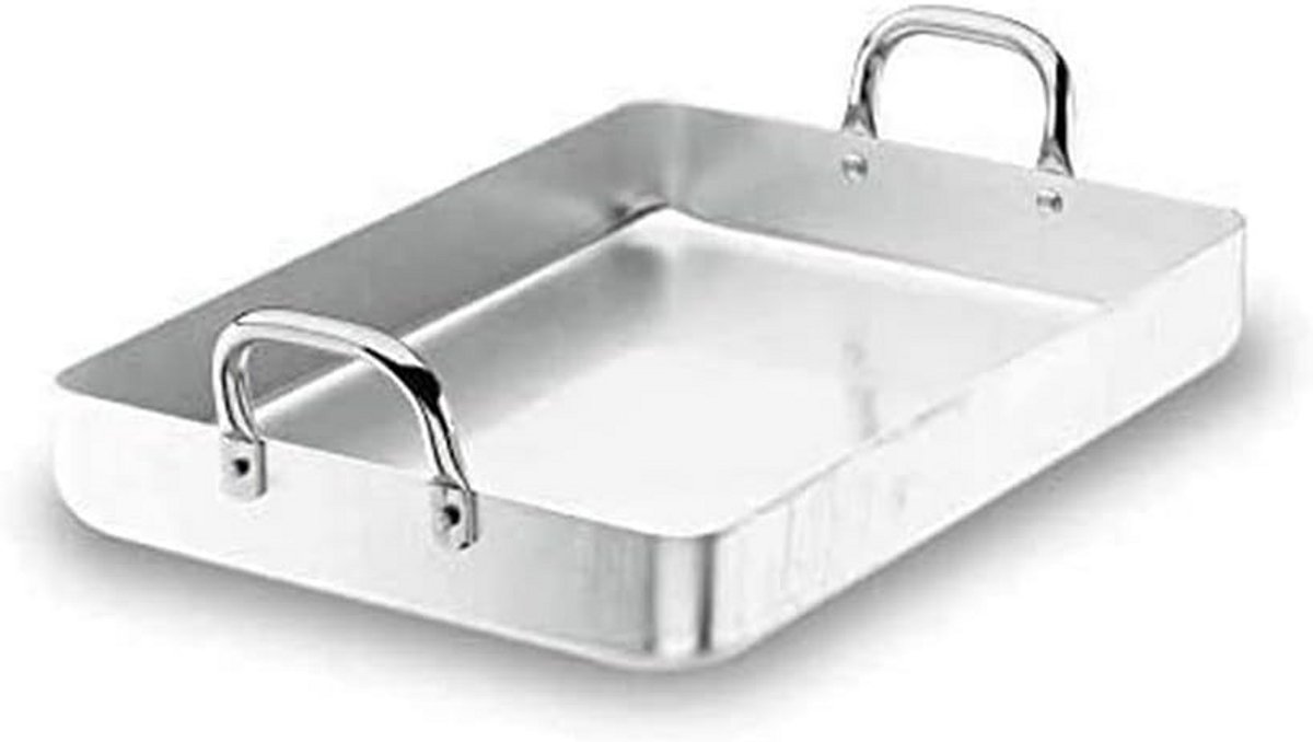 RVS Rotisserie Set 55 cm voor Professioneel Gebruik