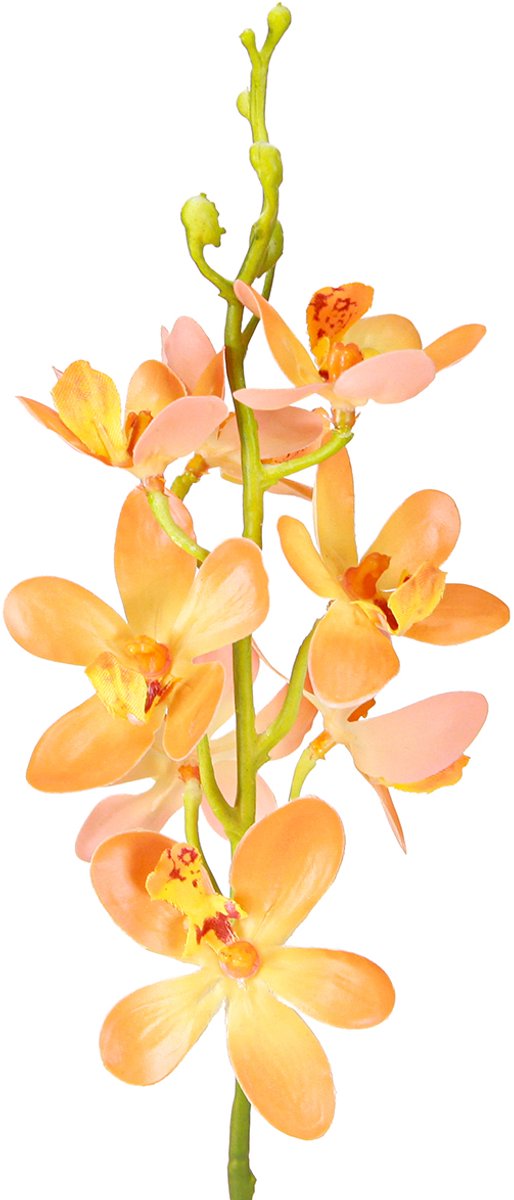Viana Kunstmatige Orchideeën Tak 8 Bloemen Oranje L38cm 2st, 2 Stück