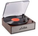 Retro platenspeler met houtlook en zilverkleurige speaker, draaiende vinylplaat en open kap.