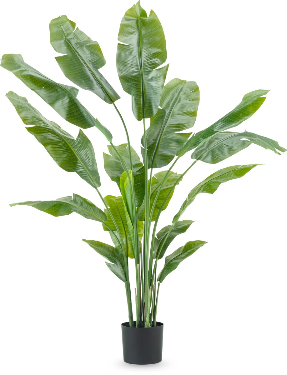 Easyplants | Kunstplant Strelitzia Nicolai Deluxe 180 cm | Zijde | Strelitzia | Groen