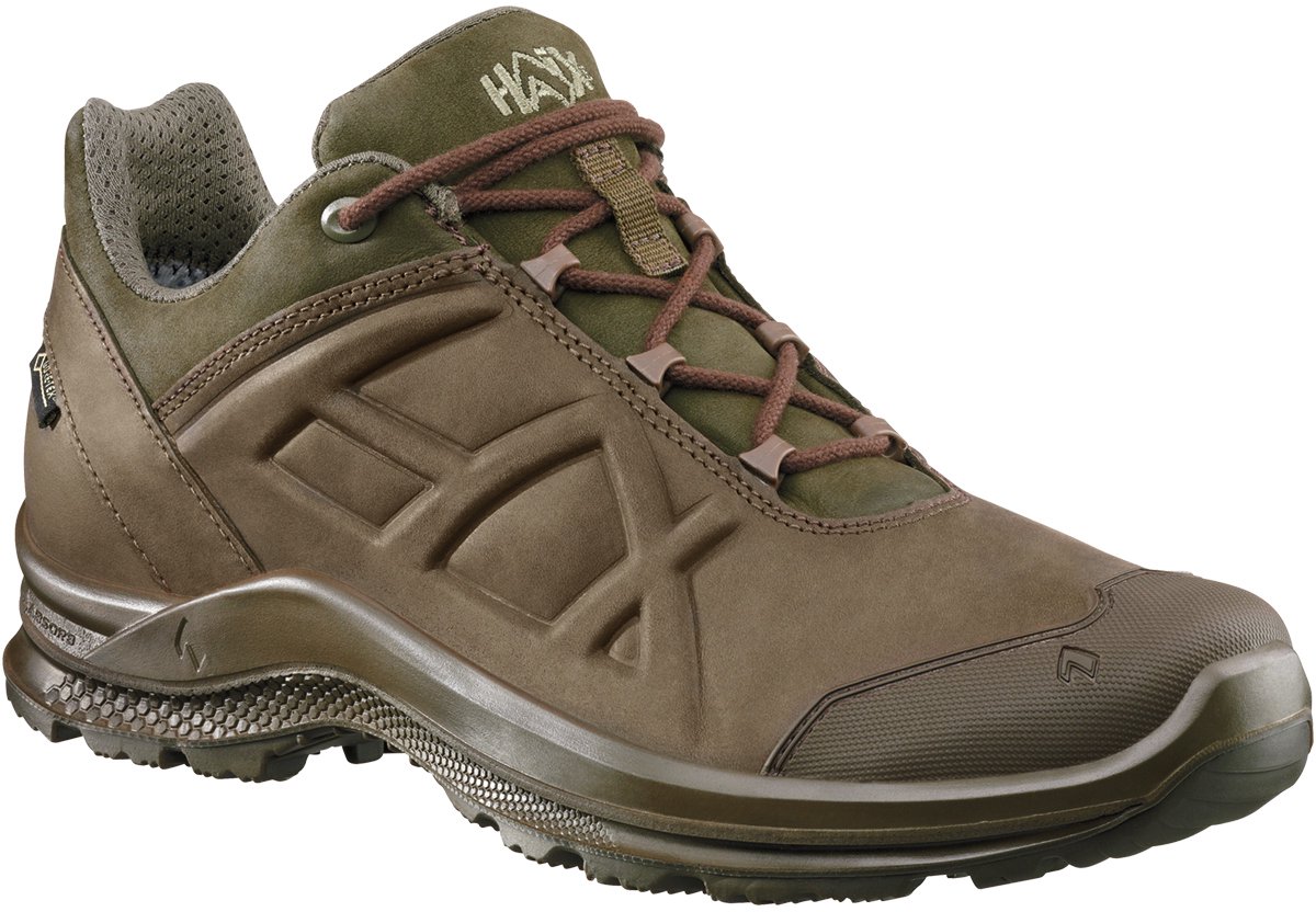 Haix Eagle Nature GTX Schoen LG 340017 – 42 Bruin