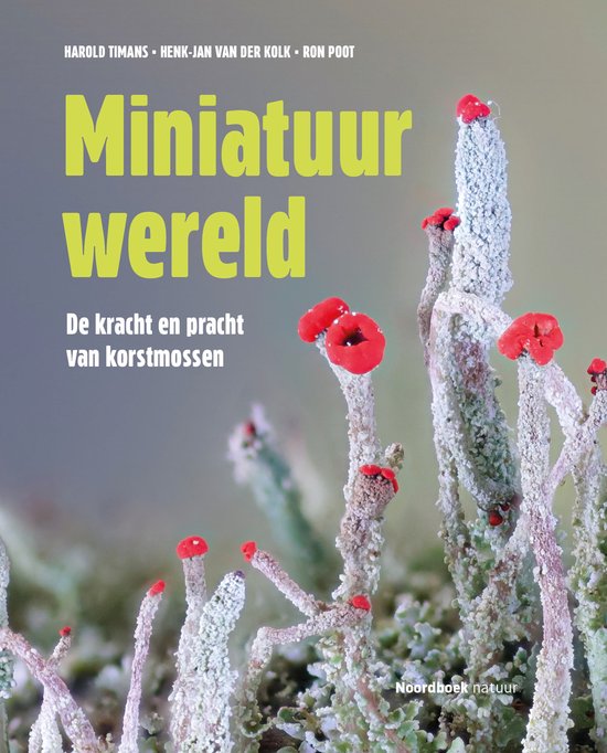 Miniatuurwereld - cover