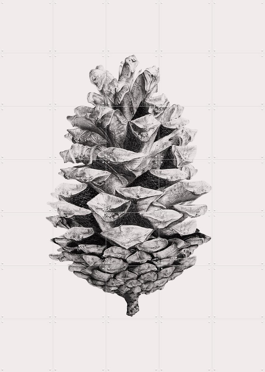 IXXI Pinecone, IXXI - 100 x 140 cm - Gratis ophangtool - Grote wanddecoratie en posters - Illustraties, Grafisch Ontwerp, Line art, Slaapkamer