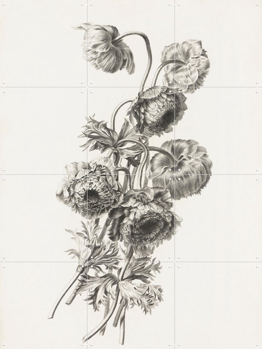 IXXI Anemoon, Pierre François Legrand & Het Noordbrabants Museum - 60 x 80 cm - Gratis ophangtool - Grote wanddecoratie en posters - Klassiek