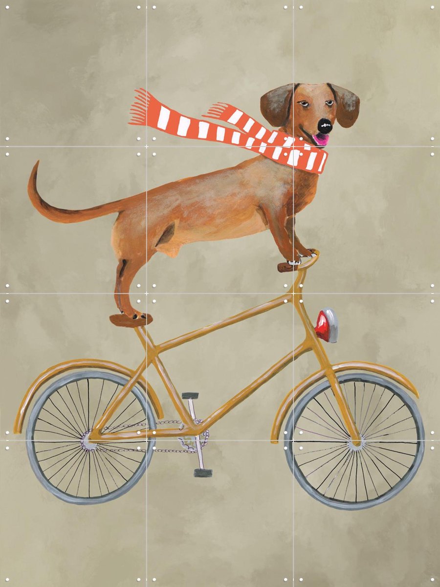 IXXI Dachshund on bicycle with scarf, Coco de Paris - 60 x 80 cm - Gratis ophangtool - Grote wanddecoratie en posters - Speels, Kleurrijk, Cartoonesk