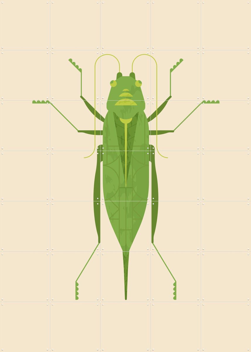 IXXI Large Green Saber Grasshopper, Studio Kars + Boom - 100 x 140 cm - Gratis ophangtool - Grote wanddecoratie en posters - Illustraties, Grafisch