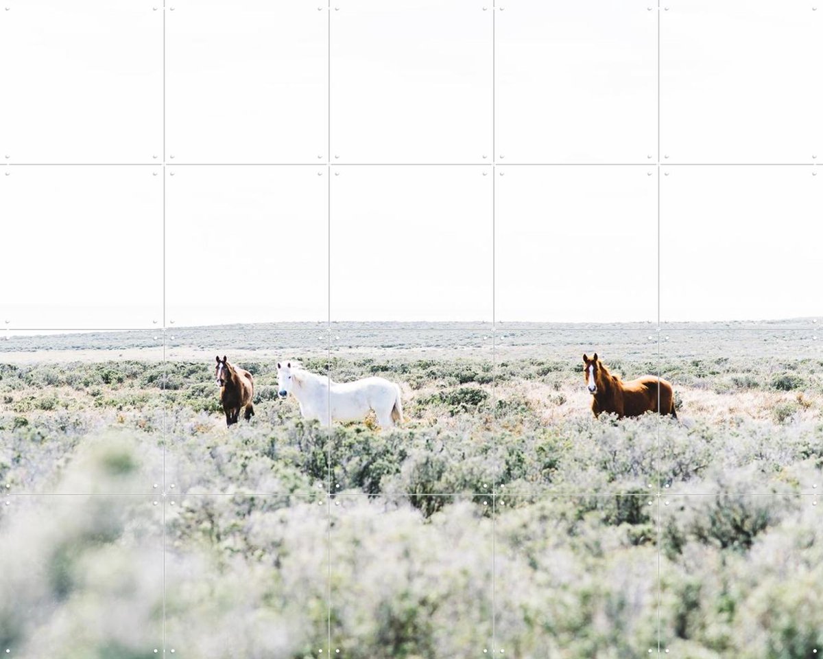 IXXI Wild Horses, Chris Abatzis - 100 x 80 cm - Gratis ophangtool - Grote wanddecoratie en posters - Fotografie, Naturalisme, Slaapkamer, Woonkamer