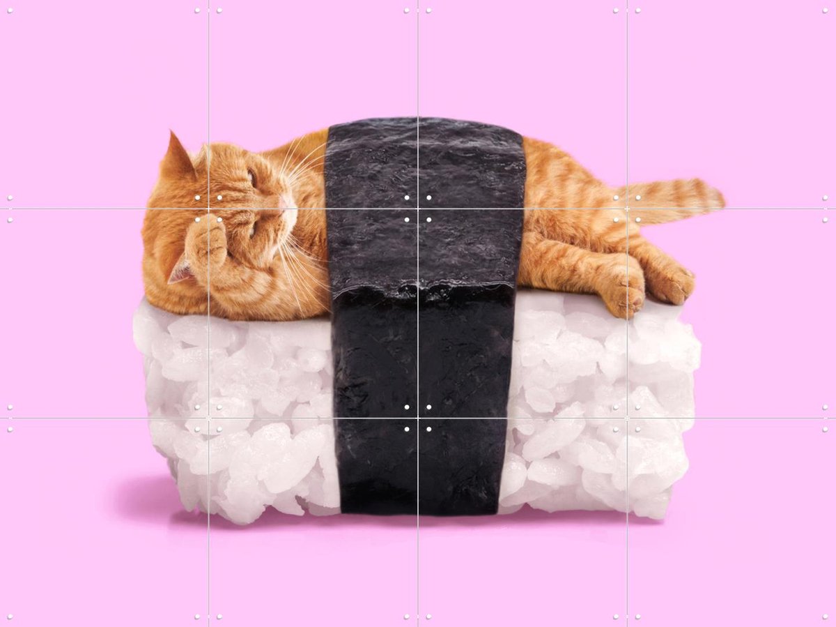IXXI Sushi Cat, Paul Fuentes - 80 x 60 cm - Gratis ophangtool - Grote wanddecoratie en posters - Pop art, Speels, Illustraties, Digitale Kunst