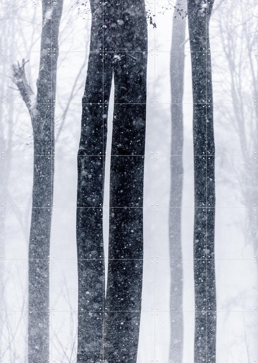 IXXI Snow Trees 2, Mareike Böhmer - 100 x 140 cm - Gratis ophangtool - Grote wanddecoratie en posters - Fotografie, Woonkamer, Slaapkamer, Bossen