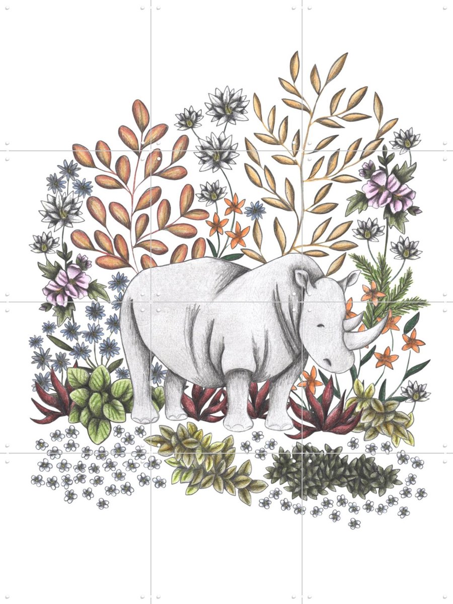IXXI Safari Rhino, Cecilia Battaini - 60 x 80 cm - Gratis ophangtool - Grote wanddecoratie en posters - Illustraties, Fantasierijk, Kinderkamer