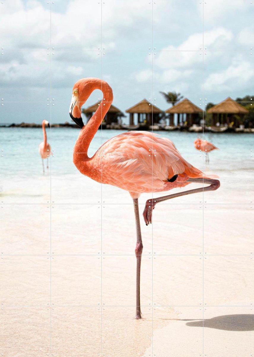 IXXI Flamingo Beach, Henrike Schenk - 100 x 140 cm - Gratis ophangtool - Grote wanddecoratie en posters - Fotografie, Kleurrijk, Badkamer, Woonkamer