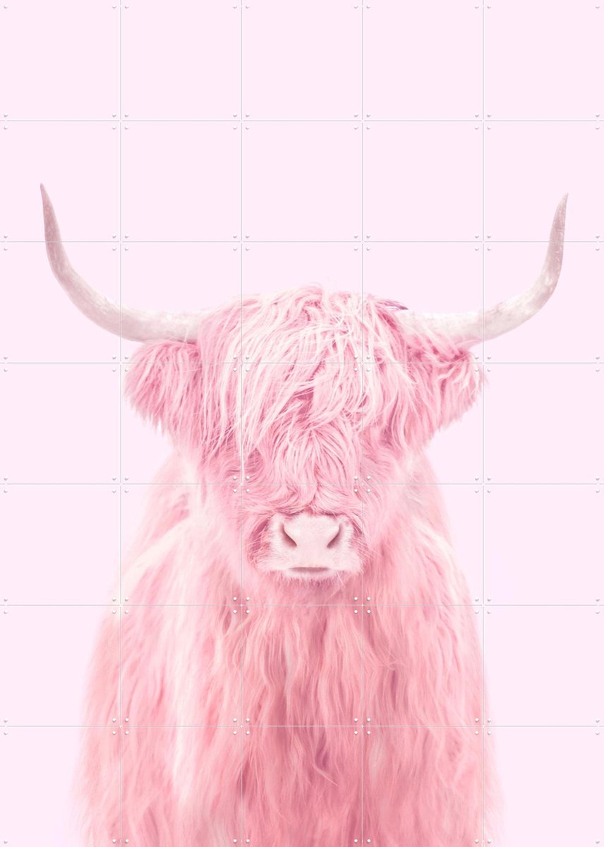 IXXI Highland Cow, Paul Fuentes - 100 x 140 cm - Gratis ophangtool - Grote wanddecoratie en posters - Digitale Kunst, Kleurrijk, Speels, Pop art