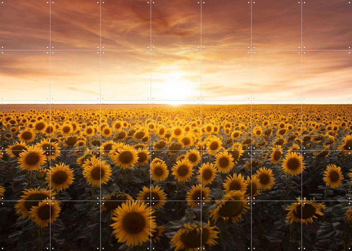 IXXI Sunflower Sunrise France, Claire Droppert - 140 x 100 cm - Gratis ophangtool - Grote wanddecoratie en posters - Impressionisme, Realisme