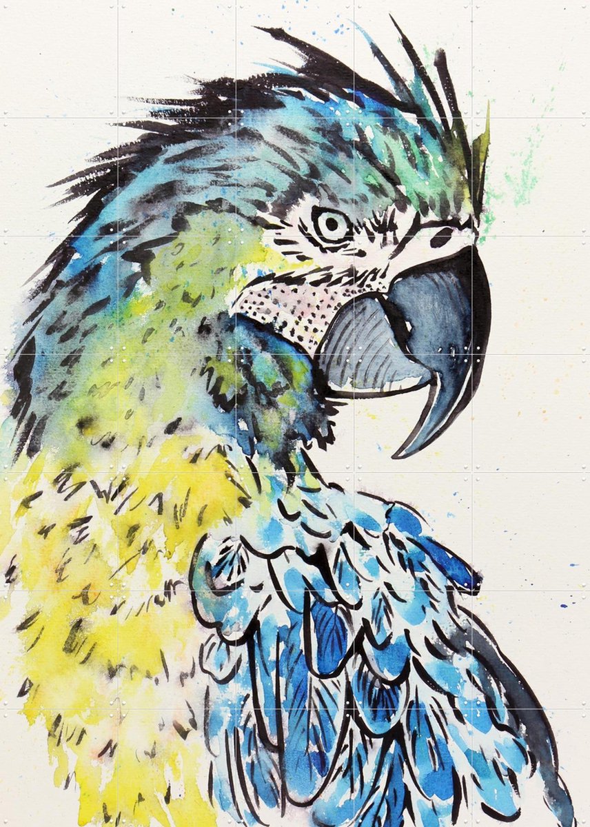 IXXI The Blue Macaw Parrot, Natalie Bruns - 100 x 140 cm - Gratis ophangtool - Grote wanddecoratie en posters - Illustraties, Kleurrijk, Aquarel