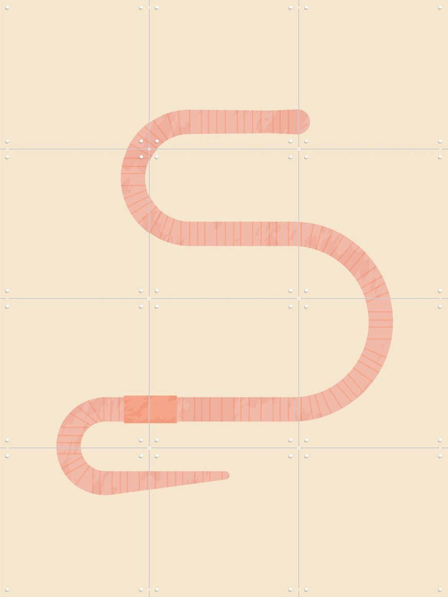 IXXI The Earthworm, Studio Kars + Boom - 60 x 80 cm - Gratis ophangtool - Grote wanddecoratie en posters - Illustraties, Line art, Grafisch Ontwerp