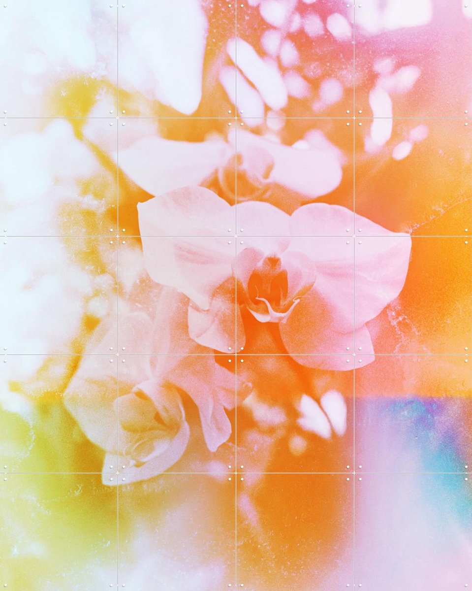 IXXI Evolve, Amber Lauder - 80 x 100 cm - Gratis ophangtool - Grote wanddecoratie en posters - Abstract, Kleurrijk, Fotografie, Slaapkamer, Woonkamer