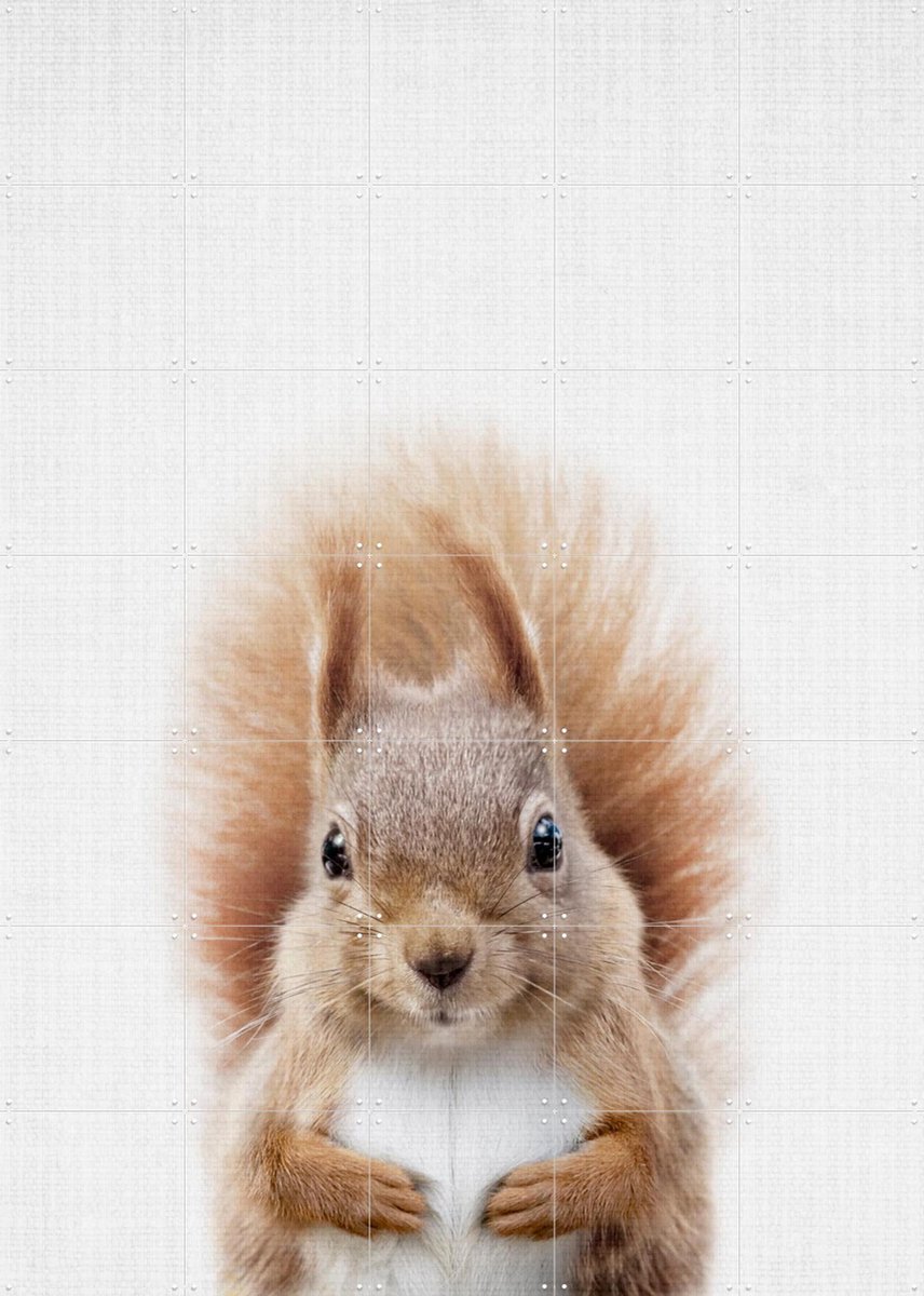 IXXI Squirrel, Lila + Lola - 100 x 140 cm - Gratis ophangtool - Grote wanddecoratie en posters - Fotografie, Realisme, Naturalisme, Kinderkamer