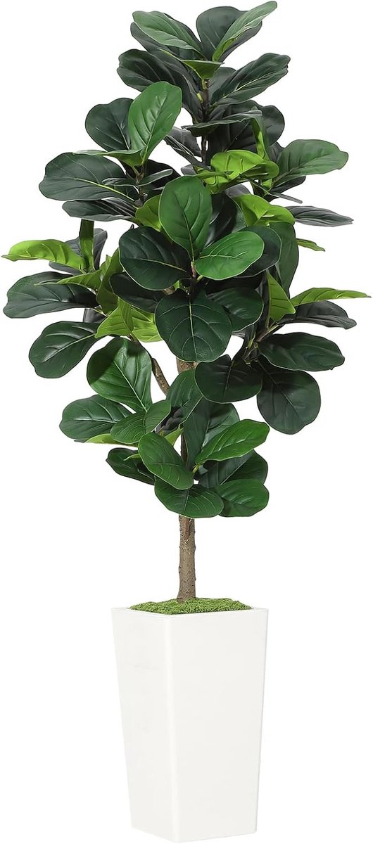 HOERFURIY Grote Kunstplant Vioolbladplant (Ficus Lyrata) - 150 cm - Inclusief Moderne Pot met Mos - Levensecht & Onderhoudsvrij - Groen