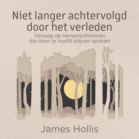 Niet langer achtervolgd door het verleden - cover