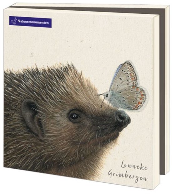 Kaartenmap met een close-up van een egel en een blauwe vlinder op zijn neus. De illustratie is van Lonneke Grimbergen.