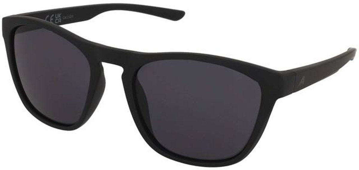 Zonnebrillen Alpina Gleam Black Matt/Black