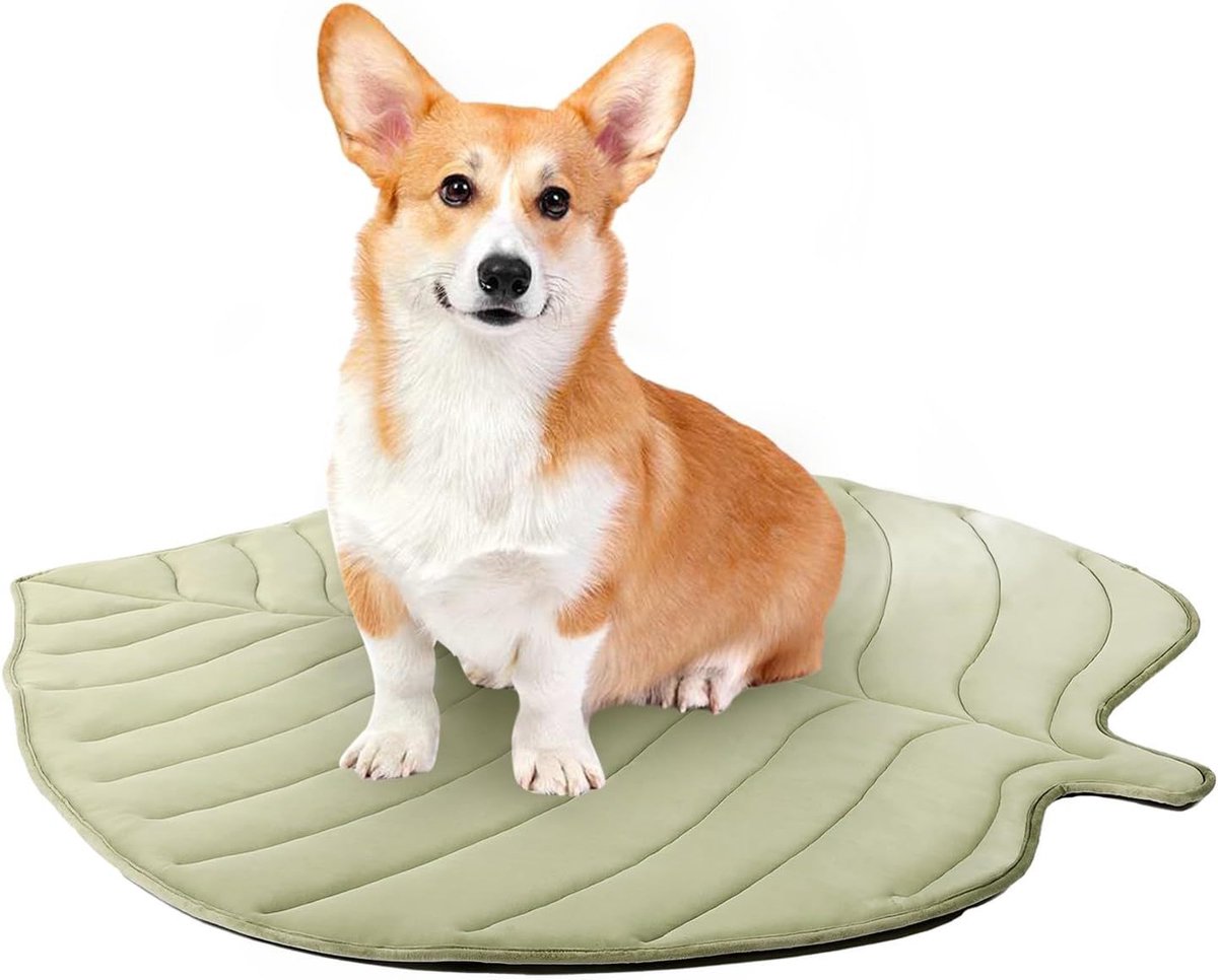 Zomerkoelmat Voor Huisdieren - Koelmat voor Honden - Natuurlijke Verkoeling Zonder Elektriciteit - Antislip Onderkant - Koelmat Voor Hond & Kat - Vrij Van Giftige Gel - Dubbelzijdig Antislip - Eenvoudig schoon te maken voor binnen - Groen - M