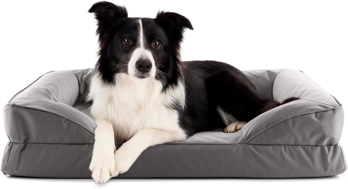 Hondenbed - Hondenbank Sofa - Binnen Buiten - Orthopedisch Traagschuim - 90 x 65 cm - Grijs