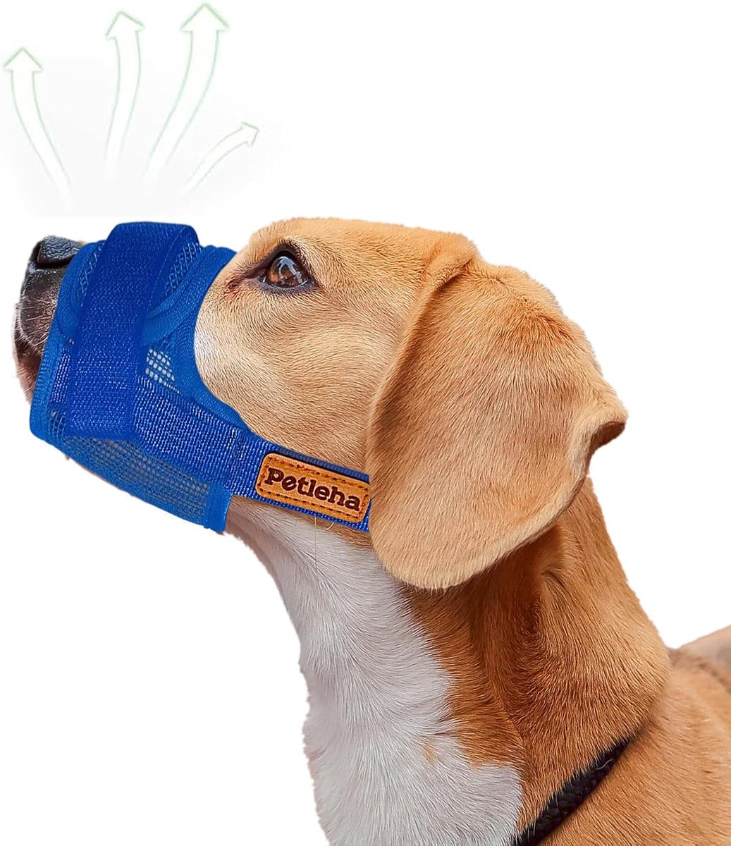 Honden muilkorf - Net muilkorf - Veilig uitlaten - Verstelbare drinkring - Maat S - Blauw