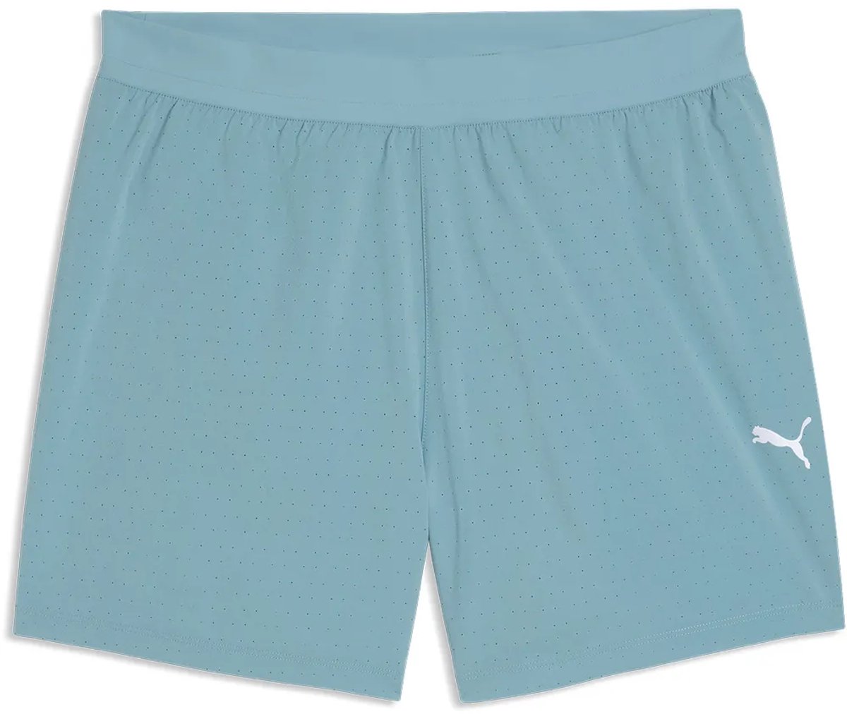 Puma Dream Drycell 5´´ Korte Broek Man Blauw