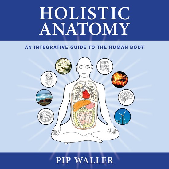 Holistic Anatomy - cover