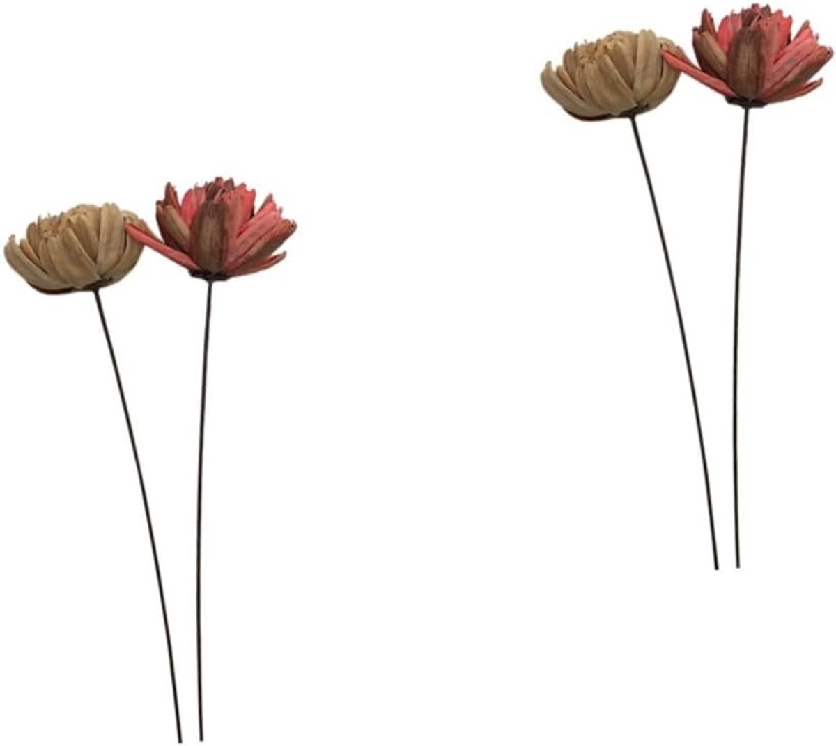 Gedroogde Bloemen Boeket - Decoratie Stengels - Bruiloft Decoratie - Natuurlijk Fris Visue