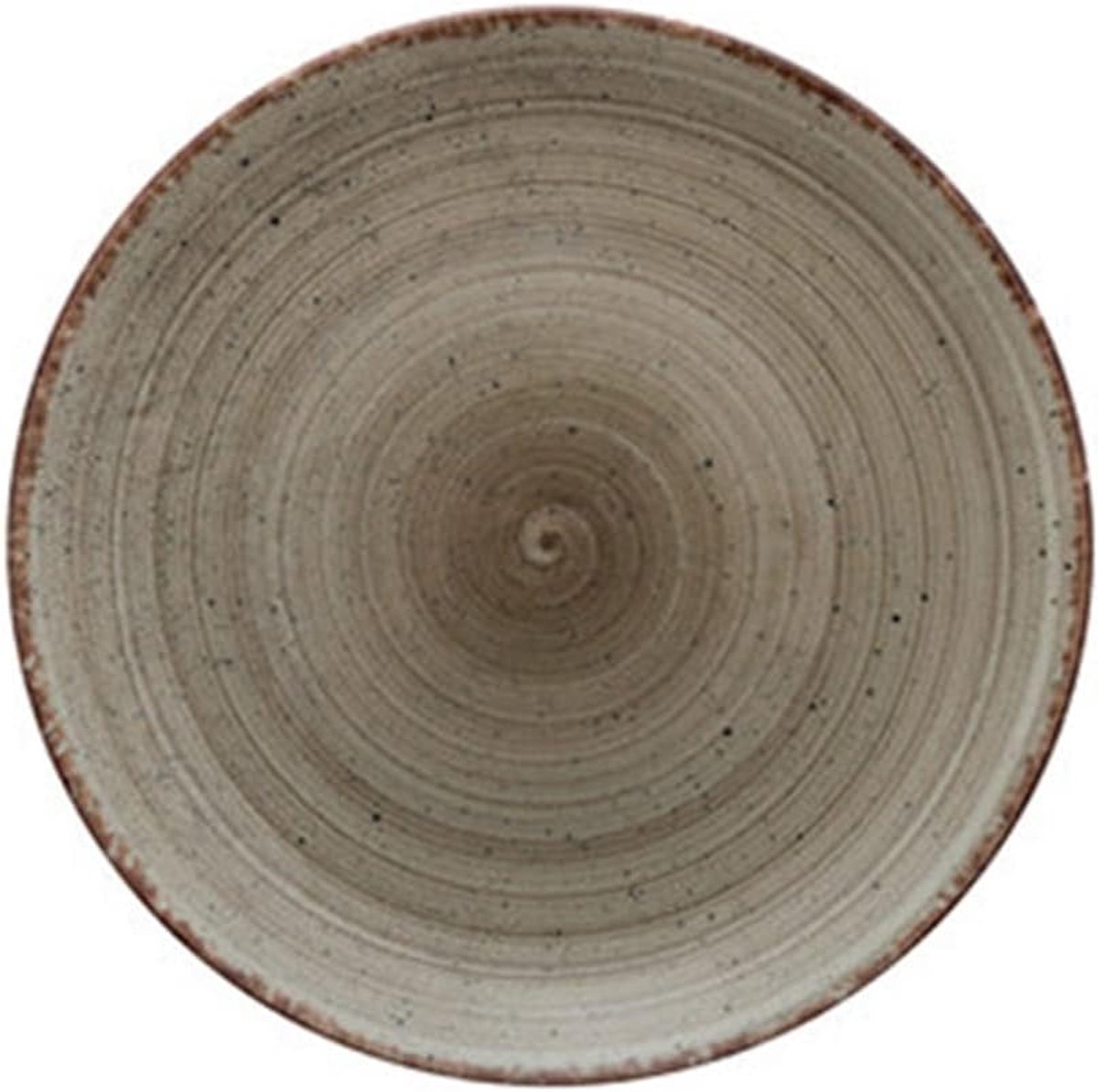 Dinerbord Porselein - Groot Bord - Formeel Diner - Bestand tegen olie - 27 cm - Transparant
