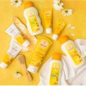 Collectie Weleda babyproducten met calendula, waaronder babyolie, gezichtscrème en bodylotion, op een gele achtergrond.
