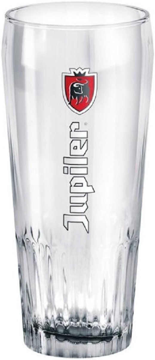 Set van 4 Bierglazen 50 cl Drinkglazen