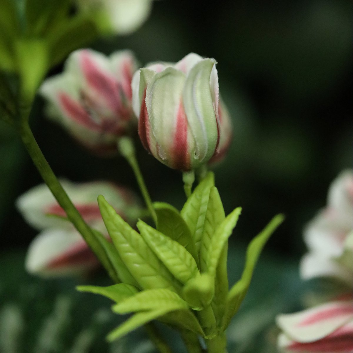 maxifleur Kunstplanten Enkianthus 80cm Kunsttak Groen Rood