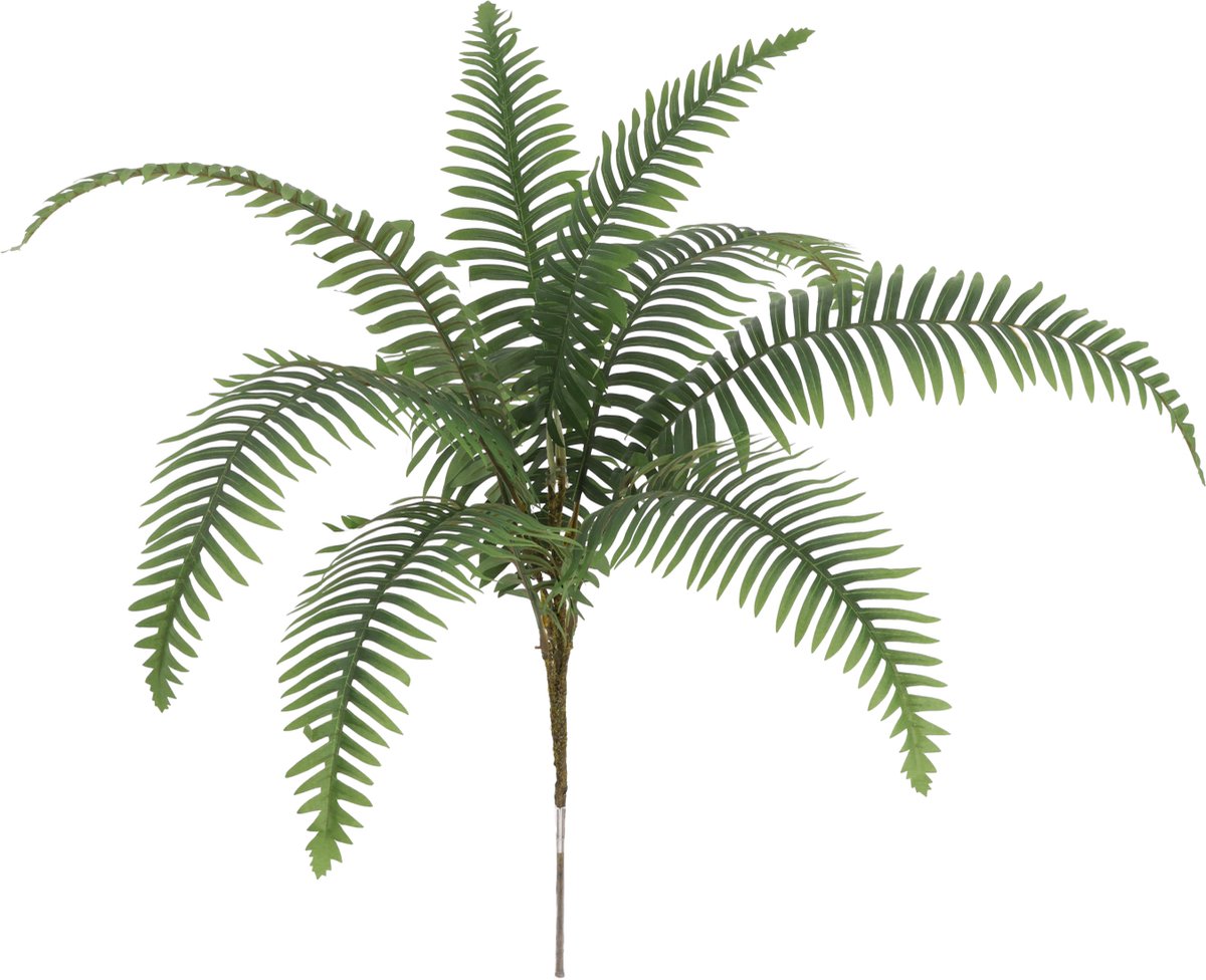 maxifleur Kunstplanten Dryopteris Kunst Varen 55cm groen