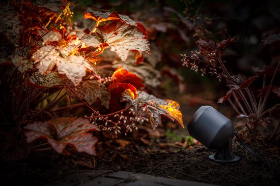 Een enkele zwarte Xelloo spot schijnt warm licht op bruin verkleurde planten in de tuin.