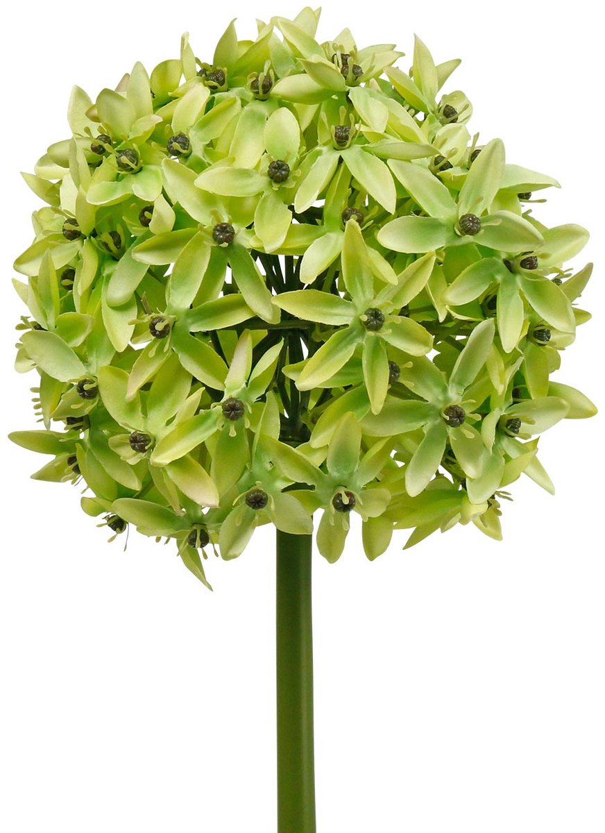 Viana Sierui Allium, zijden bloem, kunstbal prei groen Ø20cm L72cm groente