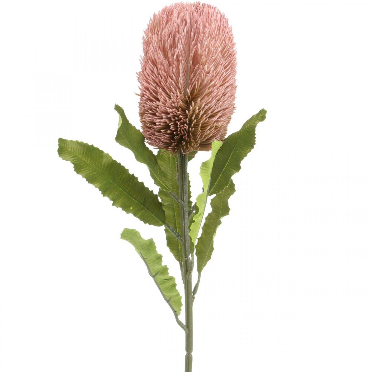 Viana Kunstbloem Banksia roze herfstdecoratie herdenkingsbloemwerk 64cm