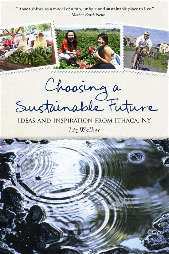 Choosing a Sustainable Future - cover