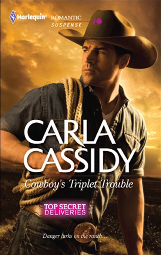 Cowboy's Triplet Trouble - cover